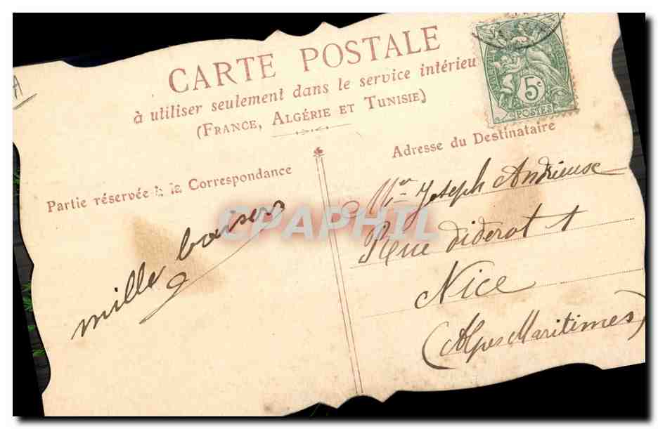 Témoignage d'affection — fleur séchée et herbes — éditeur inconnu — Reverso