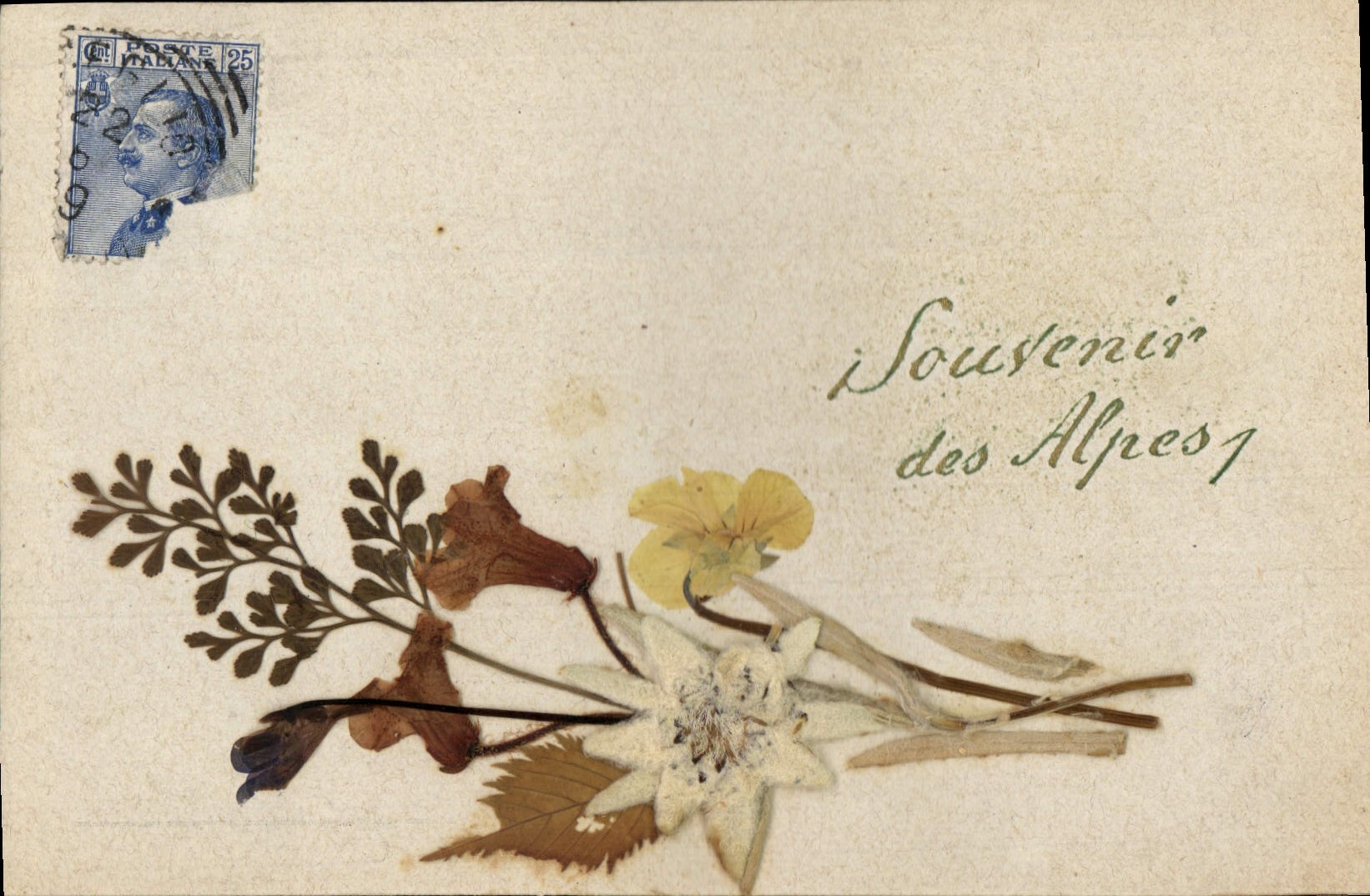 Souvenir des Alpes — fleurs séchées — éditeur inconnu, n° de série non visible