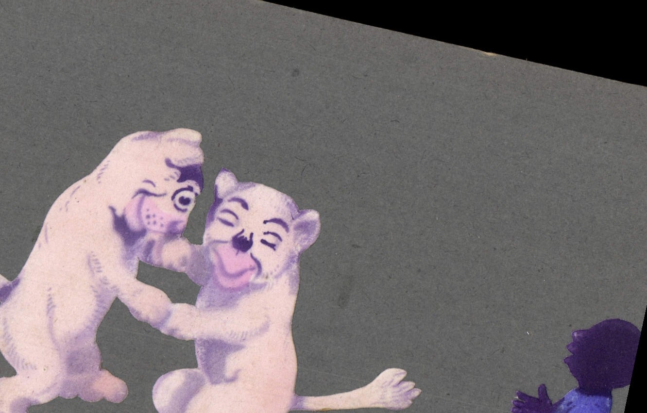 Deux tigres blancs jouant — illustration — CPAPHIL 2041