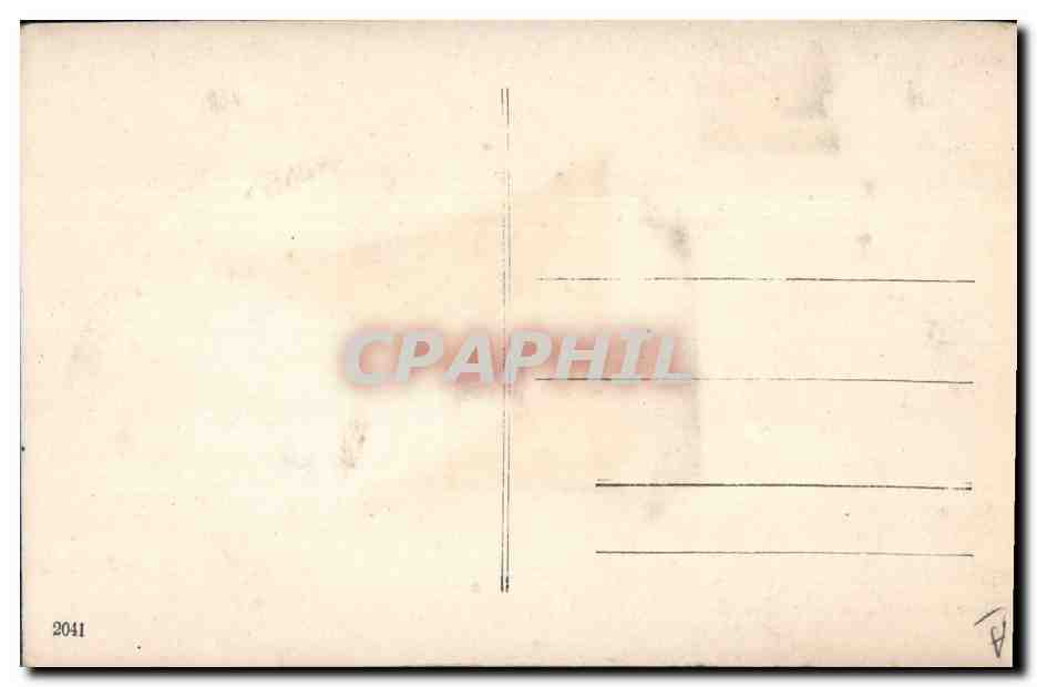 Deux tigres blancs jouant — illustration — CPAPHIL 2041 — Reverso