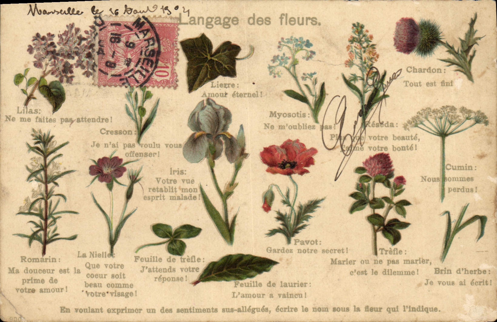 CPA Fantaisie Le langage des Fleurs 