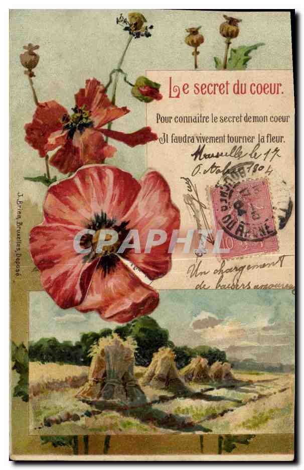 Poppies — Le secret du coeur — J. Briten, Bruxelles, dépôt 36
