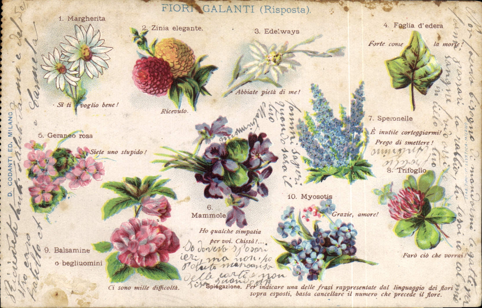 CPA Fantaisie Fleurs 