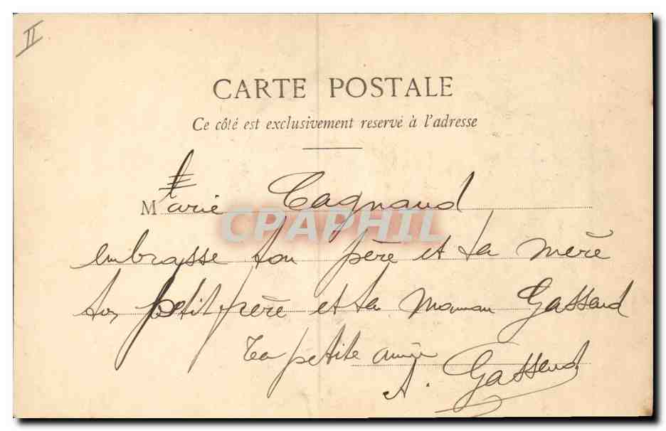 CPA Fantaisie Le langage des Fleurs Mimosa  — Verso