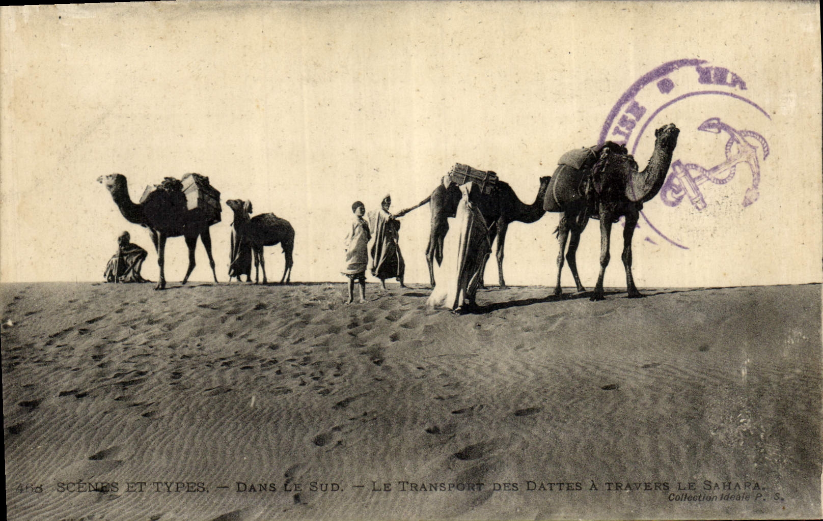 CPA Palmiers Palmier Dans le Sud Le transport des dattes a travers le Sahara 