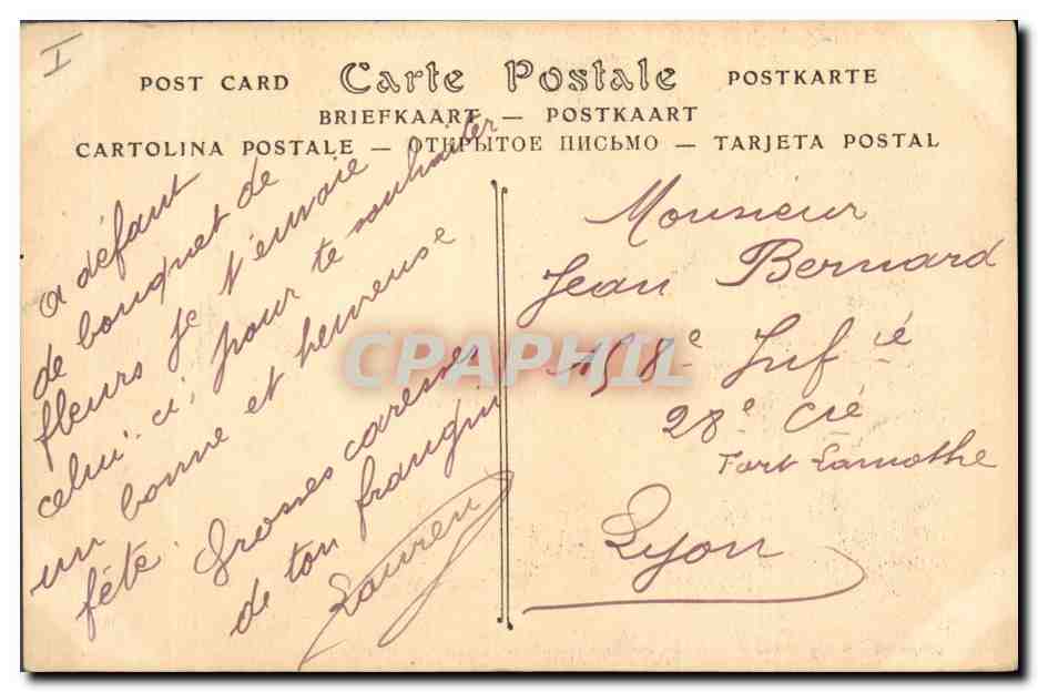 CPA Groupe de Palmiers Palmier  — Verso