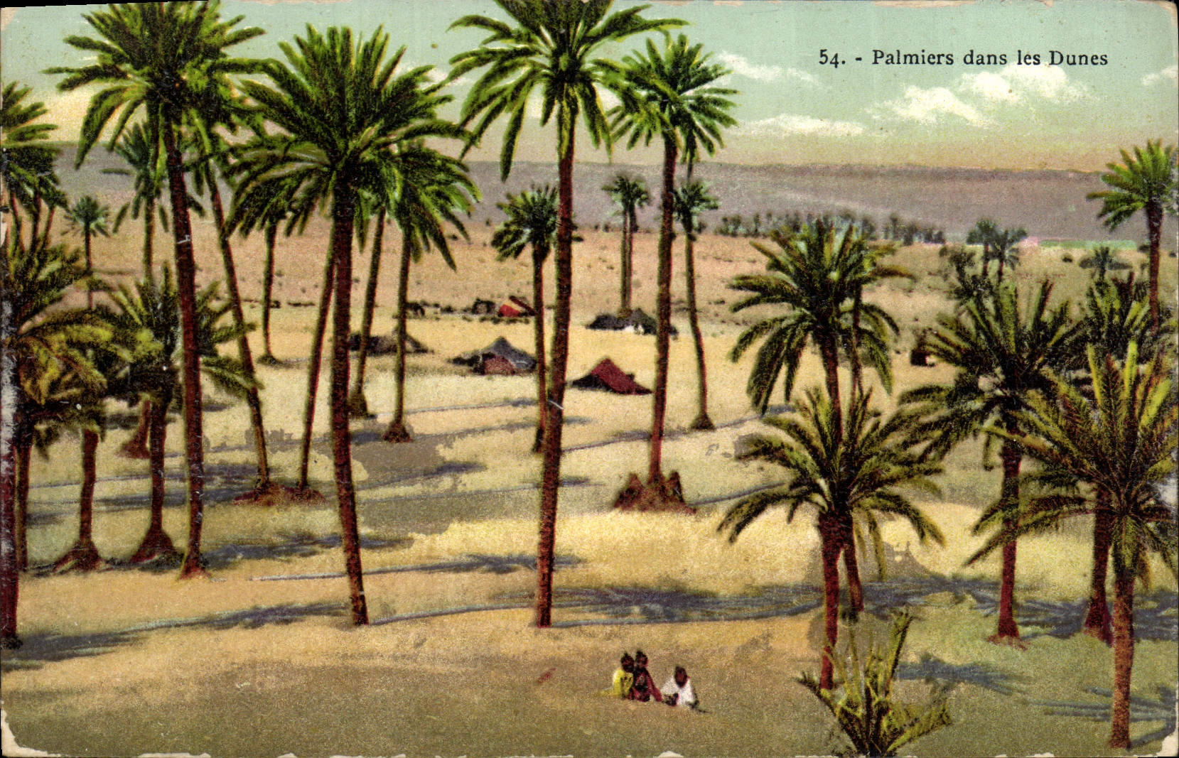 CPA Palmiers dans les dunes Palmier 