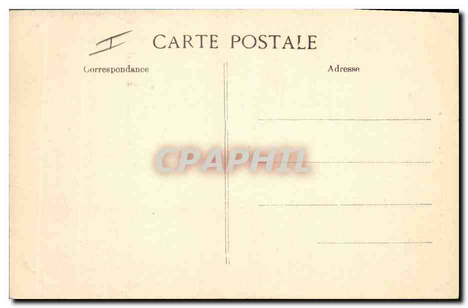 CPA Carthage Groupe de Palmiers Palmier  — Verso
