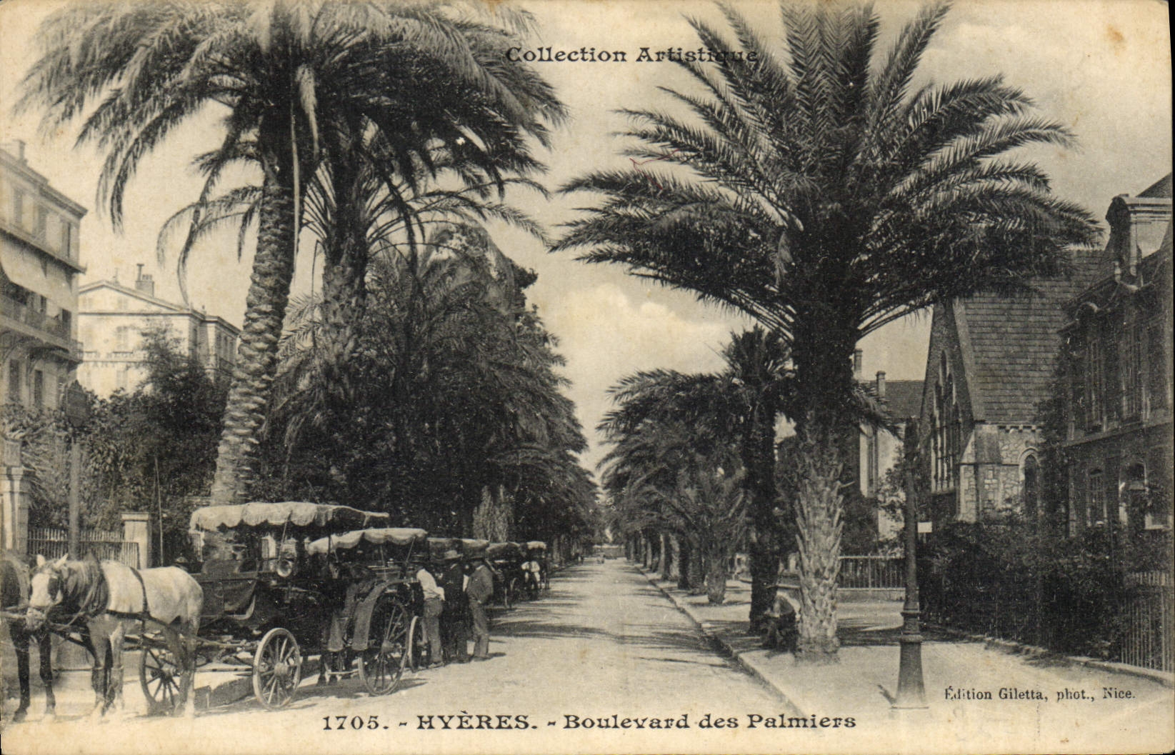 CPA Hyeres Boulevard des Palmiers Palmier 