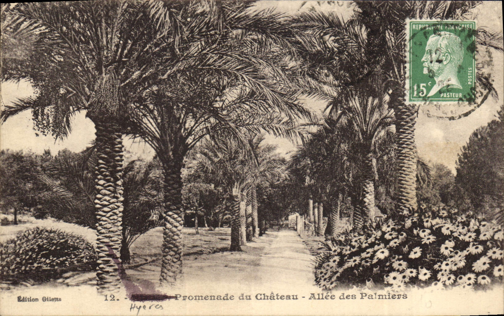 CPA Palmiers Palmier Hyeres Promenade du chateau Allee des palmiers 