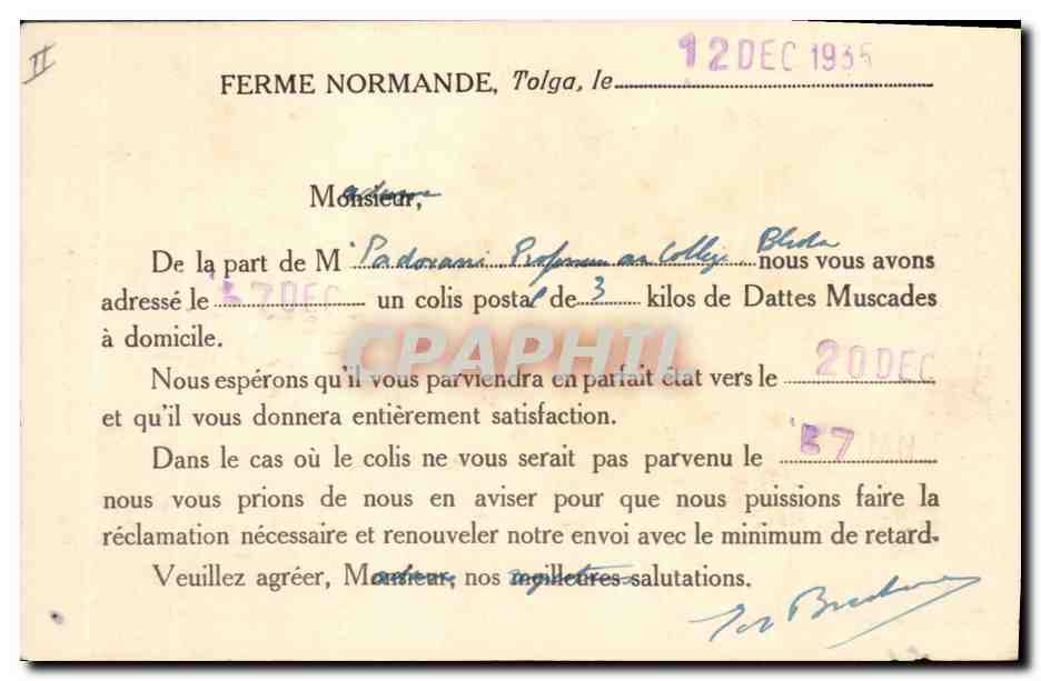 CPA Palmiers Palmier Paysages sahariens Palmiers portant leurs regimes de dattes  — Rückseite