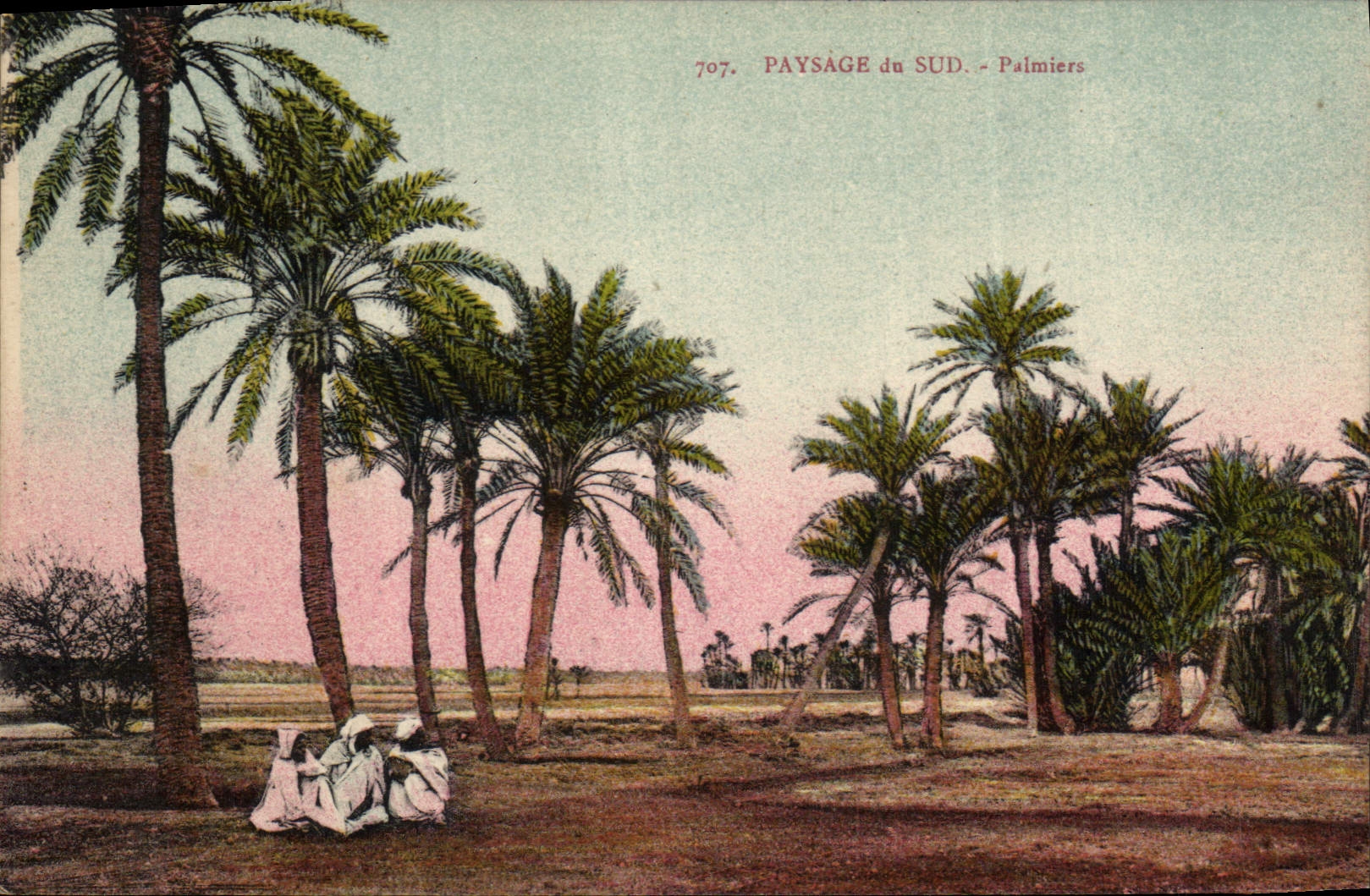 CPA Palmiers Palmier Paysage du Sud 