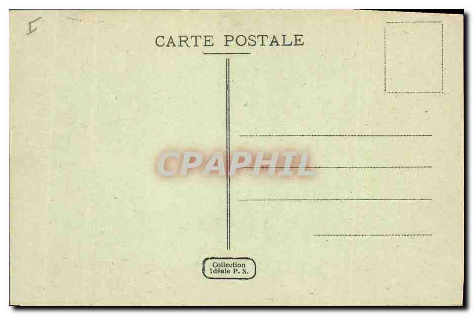 CPA Palmiers Palmier Paysage du Sud  — Verso
