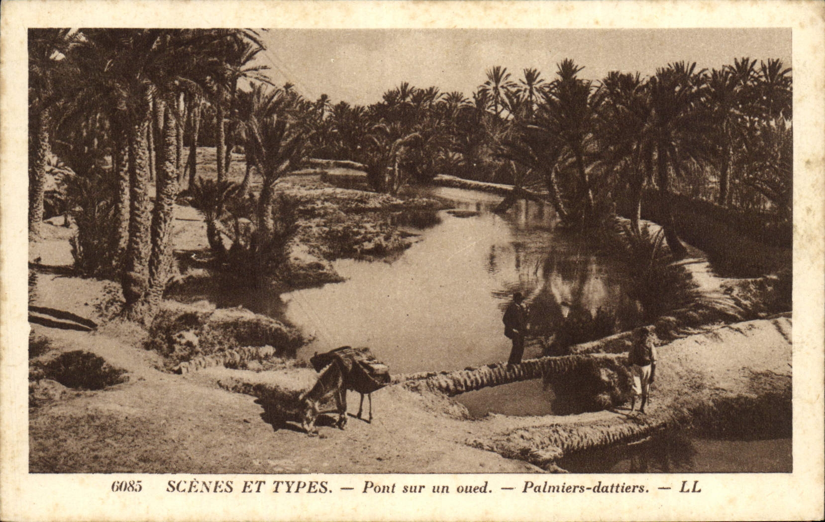 CPA Palmiers dattiers Pont sur un oued Palmier 
