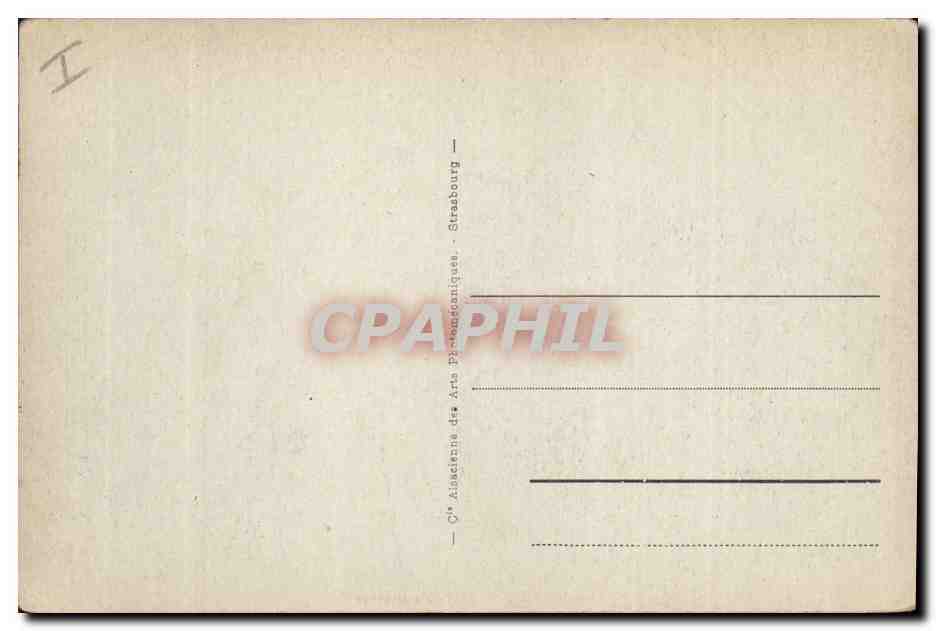 CPA Palmiers Palmier Palmeraie  — Back