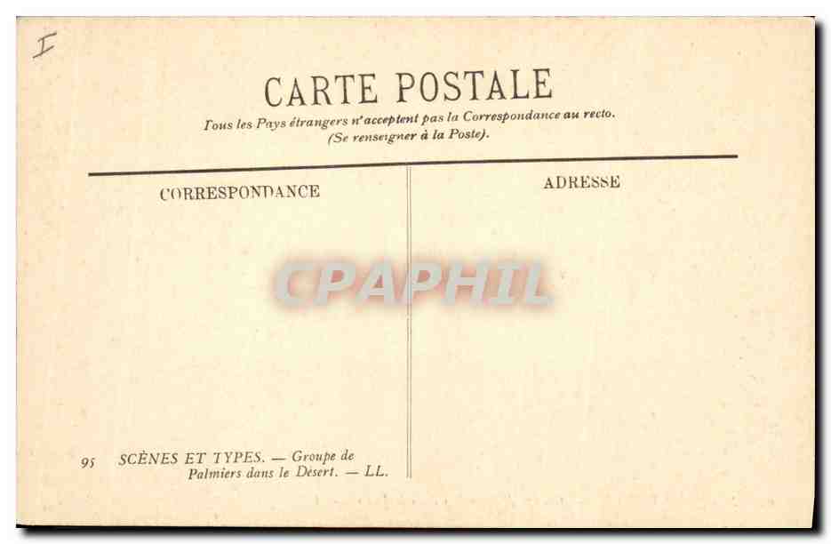 CPA Groupe de Palmiers dans le desert Palmier  — Rückseite