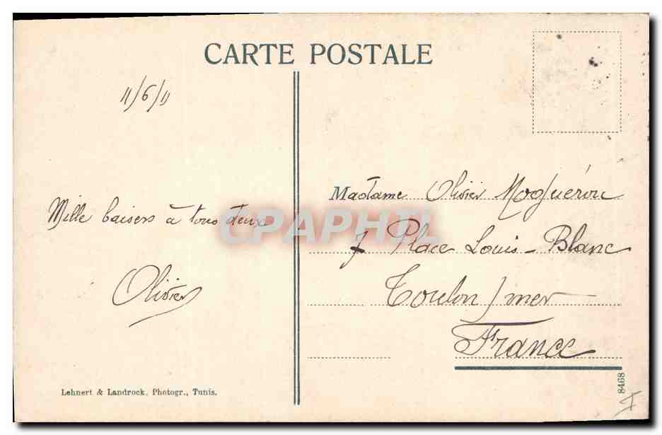 CPA Palmiers Palmier La recolte des dattes  — Rückseite