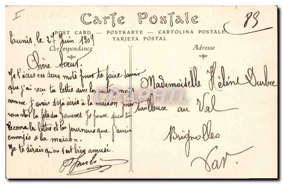CPA Groupe de Palmiers Palmier  — Rückseite
