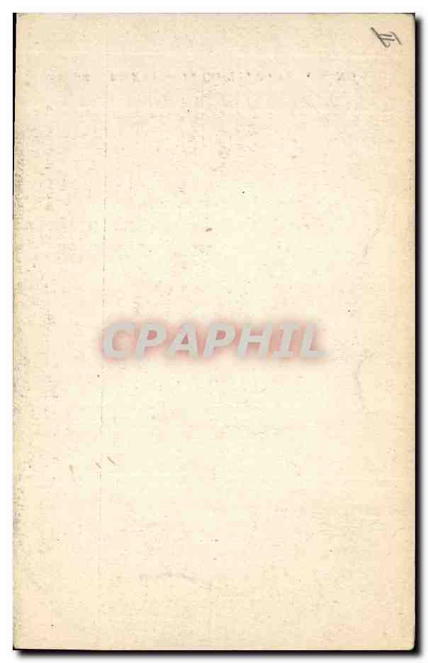 CPA Palmiers Palmier Biskra La cueillette des dattes — Rückseite