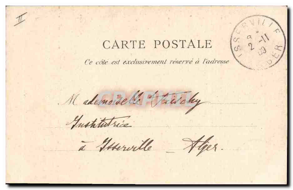 CPA Biskra Groupe de Palmiers Palmier  — Verso