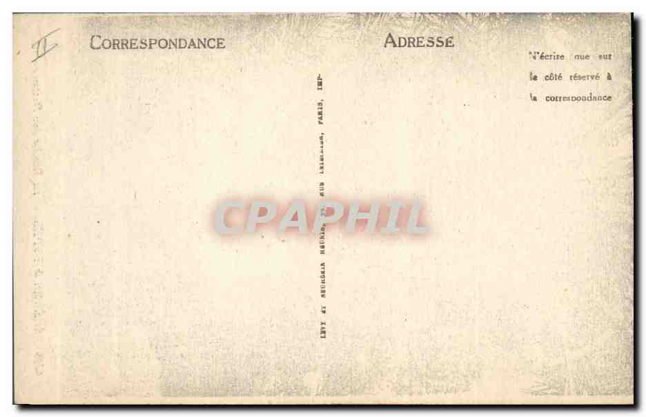 CPA Palmiers Palmier La recolte des dattes  — Rückseite