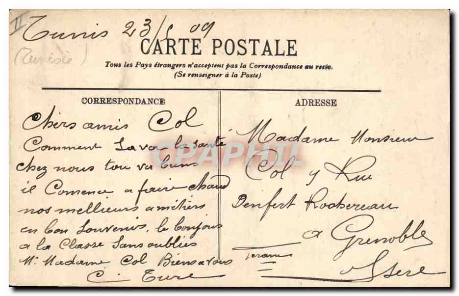 CPA Palmiers Palmier La recolte des dattes  — Rückseite
