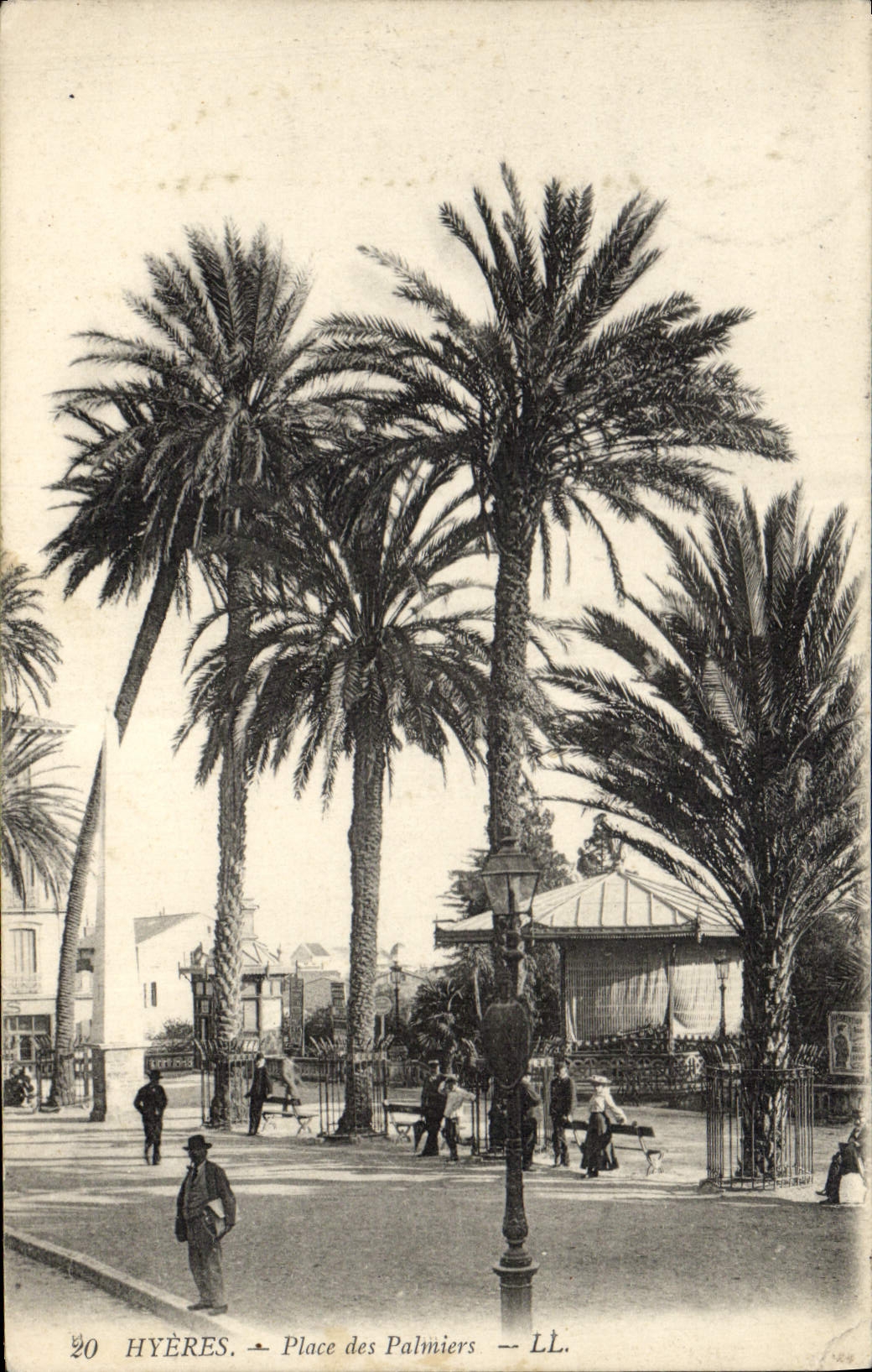 CPA Hyeres Place des Palmiers Palmier 