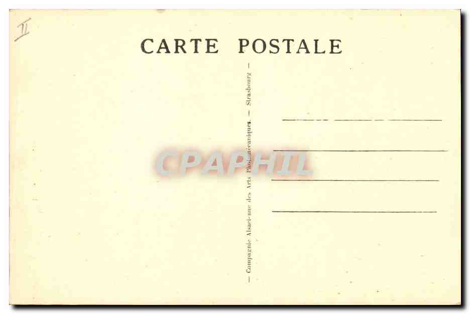 CPA Palmiers Palmier Cueillette des dattes Enfants  — Rückseite