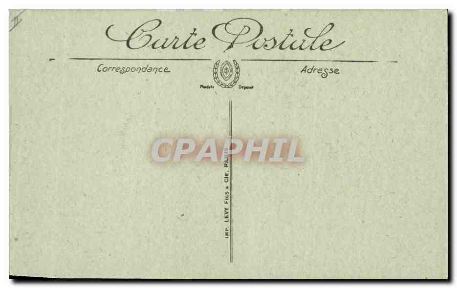 CPA Palmiers et Regimes de dattes Palmier  — Rückseite