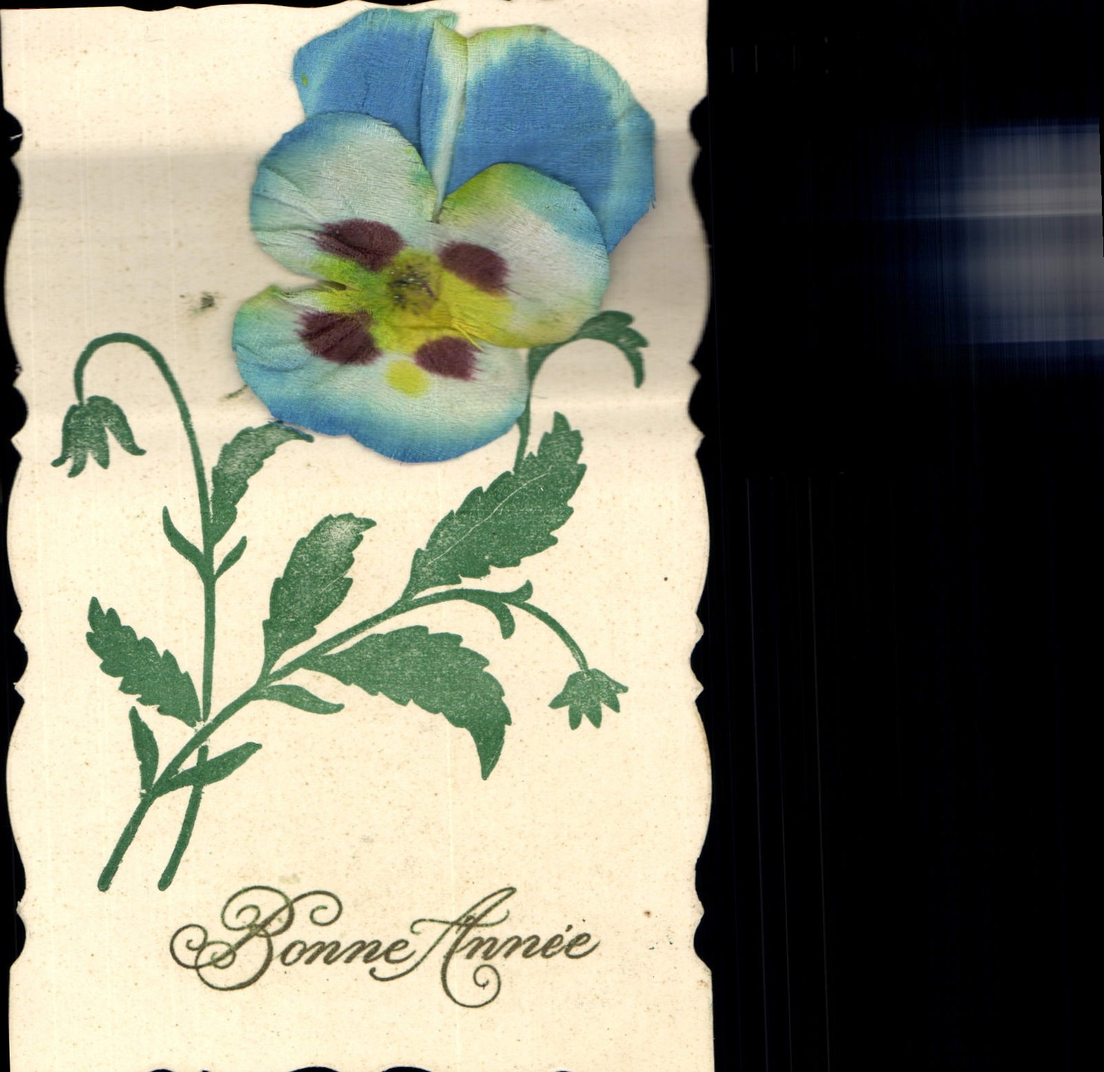 Fleur bleue — Bonne Année — Carte postale