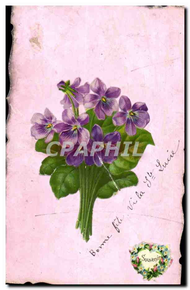Bouquet de violettes — Souvenir — Lucie