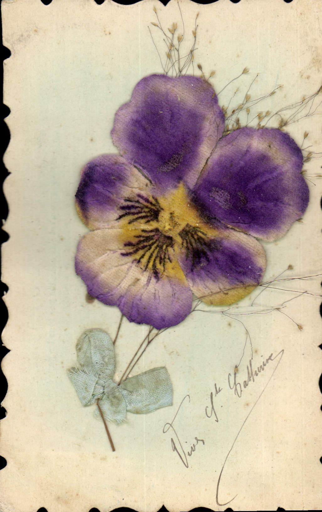 Fleur de pensée — décoration avec ruban — éditeur inconnu