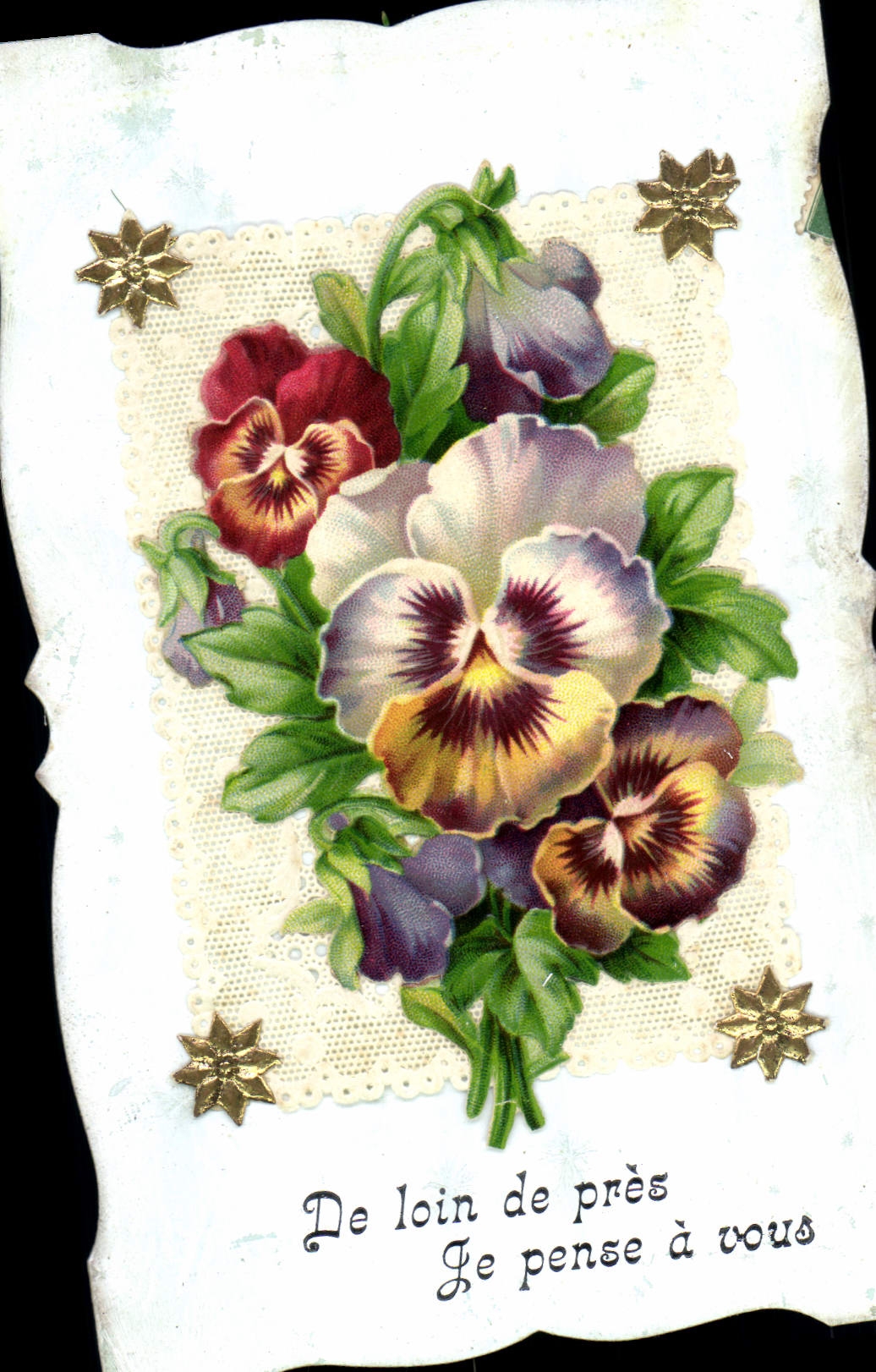 Fleurs de pensée — Pansies — Éditeur inconnu, n° de série non visible