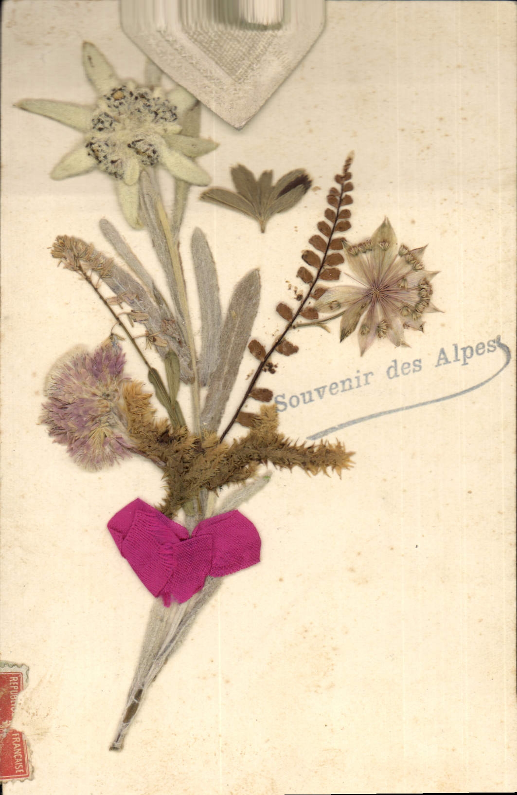 Bouquet de fleurs séchées — Souvenir des Alpes — République Française