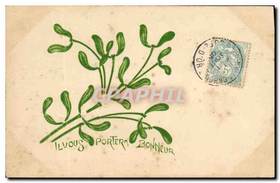 CPA Fantaisie Fleurs 