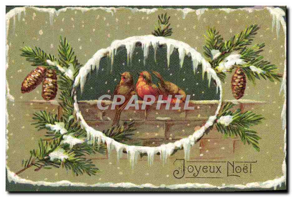 CPA Fantaisie Fleurs Oiseaux Noel 