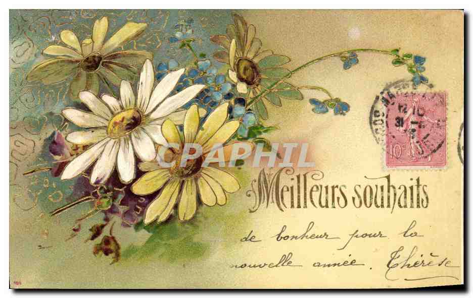 CPA Fantaisie Fleurs 