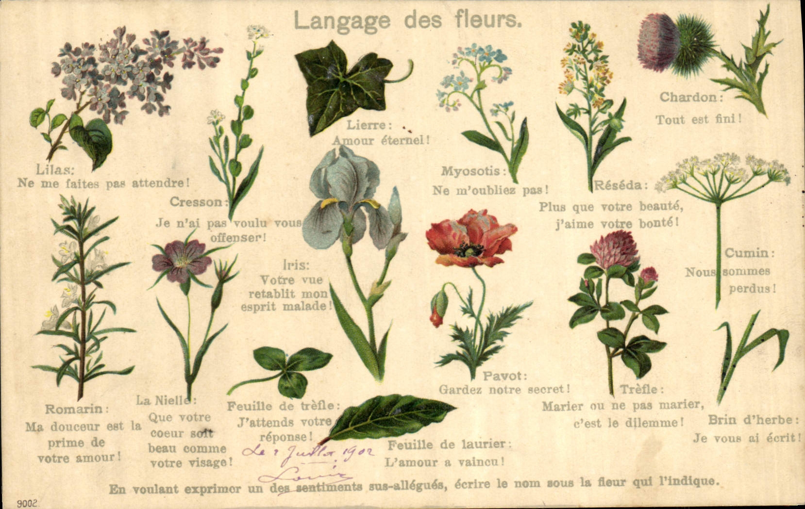 CPA Fantaisie Langage des Fleurs 