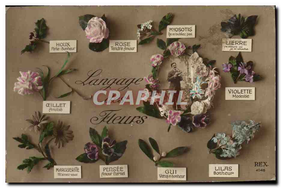 CPA Fantaisie Langage des Fleurs 