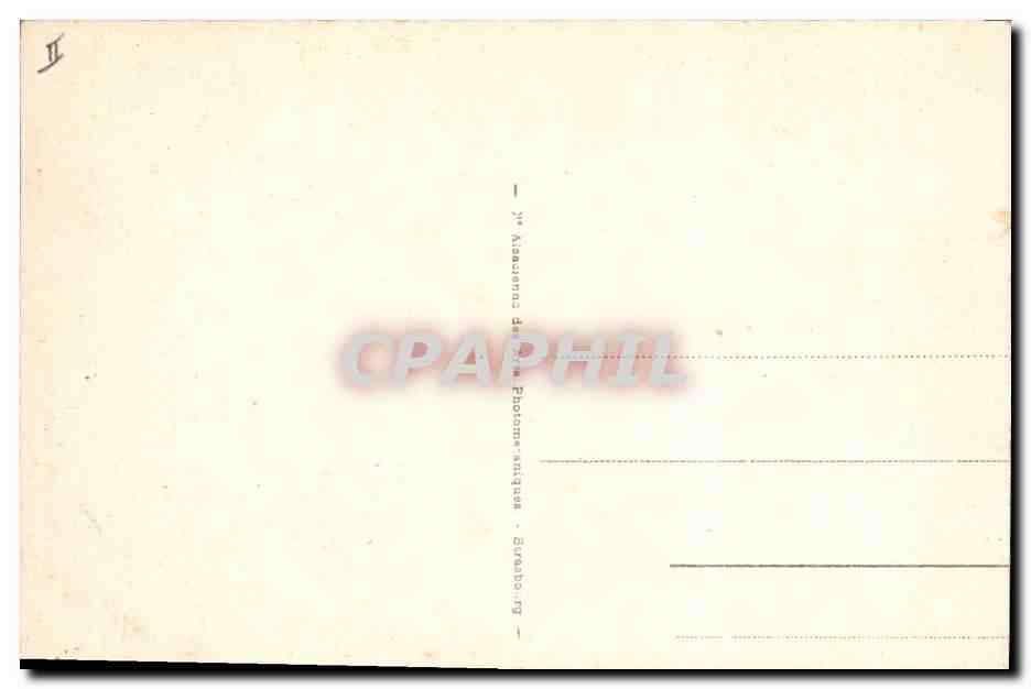 CPA Palmiers Palmier La cueillette des dattes  — Verso