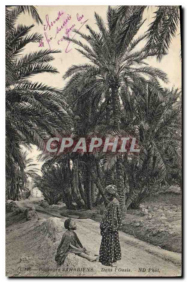 CPA Palmiers Palmier Paysages sahariens Dans l'oasis 