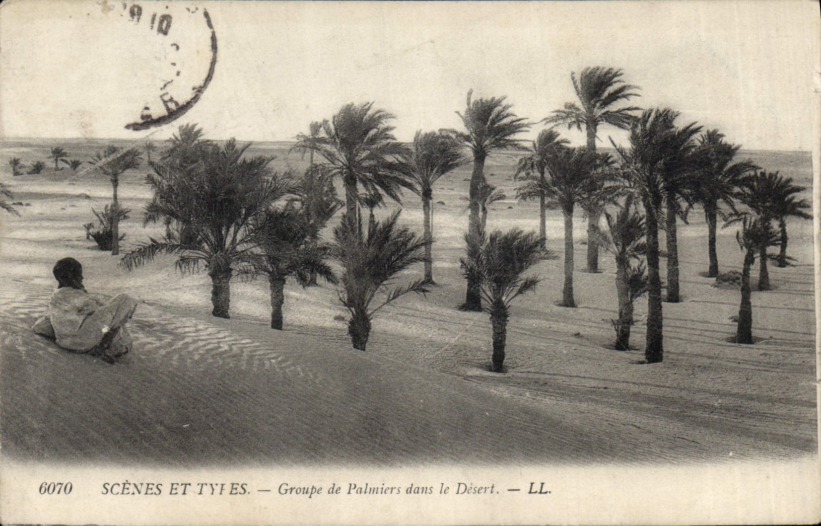 CPA Palmiers Palmier Groupe de palmiers dans le desert 
