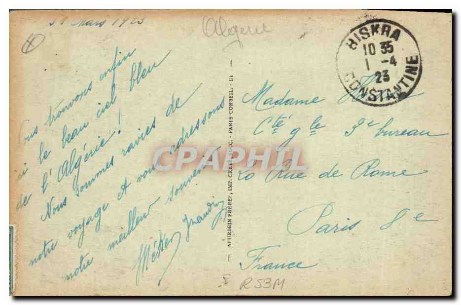 CPA Palmiers Palmier Biskra Palmiers garnis de leurs regimes  — Verso