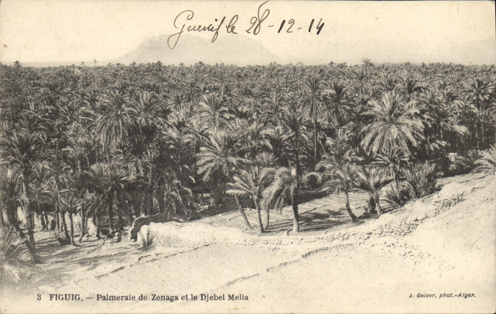 CPA Palmiers Palmier Figuig Palmeraie de Zenaga et le Djebel Melia