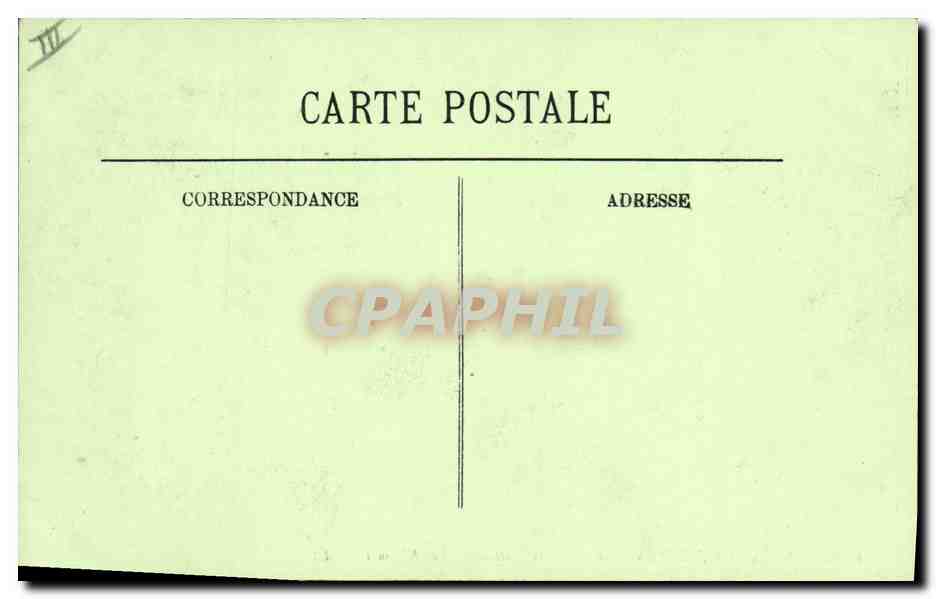 CPA Palmiers Palmier Recolte des dattes Les regimes  — Verso