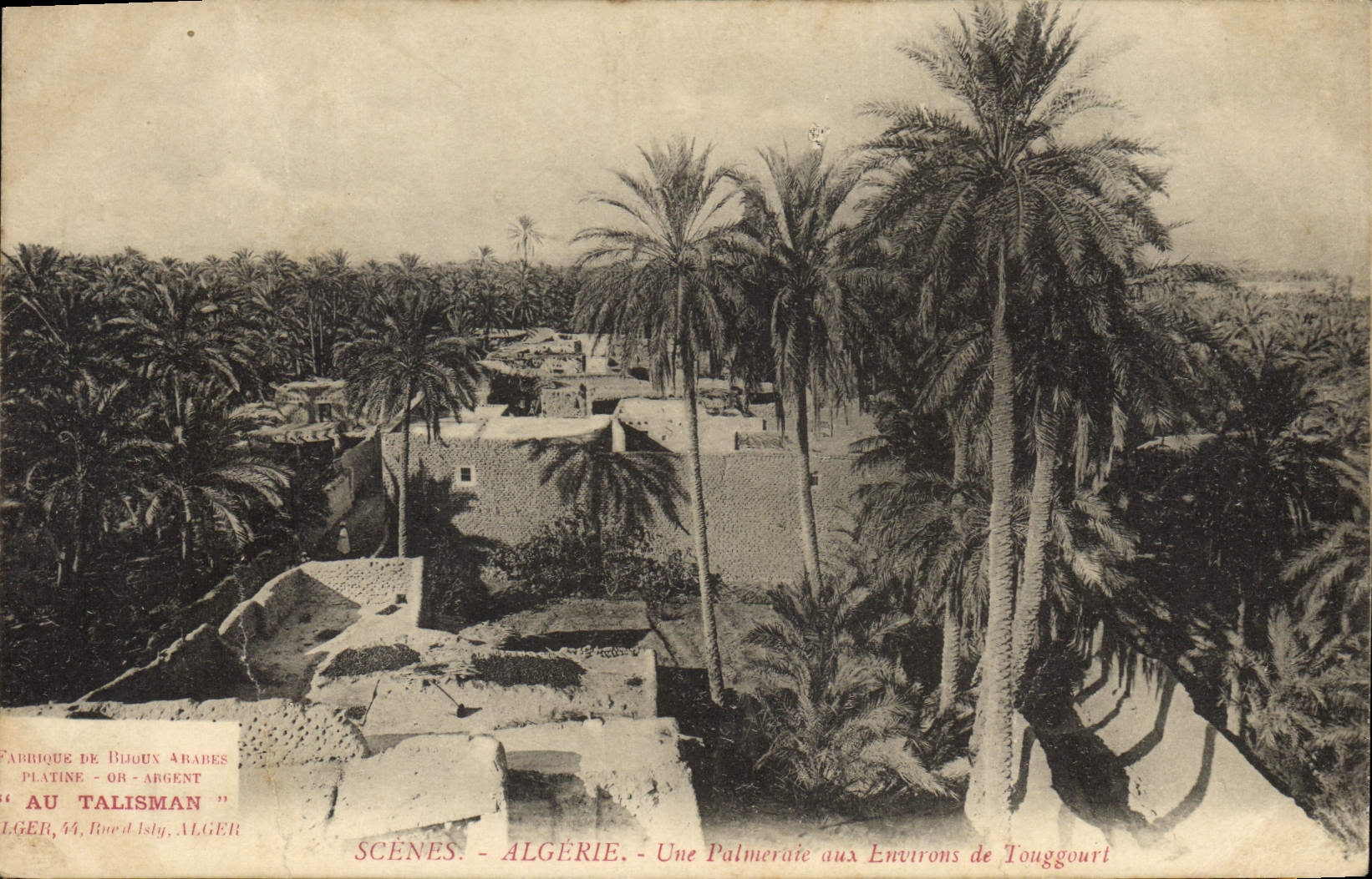 CPA Palmiers Palmier Algerie Une palmeraie aux environs de Touggourt 