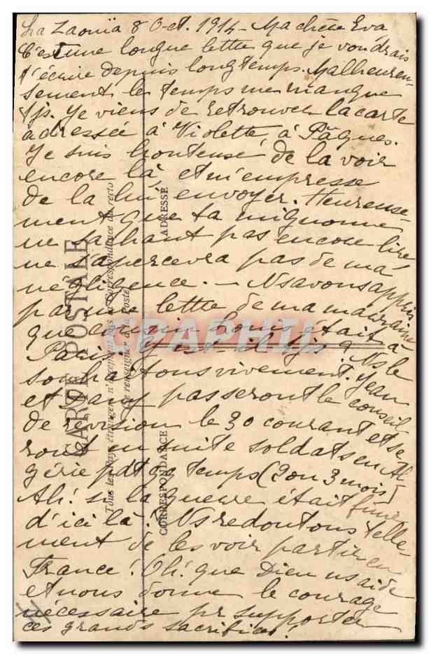CPA Palmiers Palmier Algerie Une palmeraie aux environs de Touggourt  — Rückseite