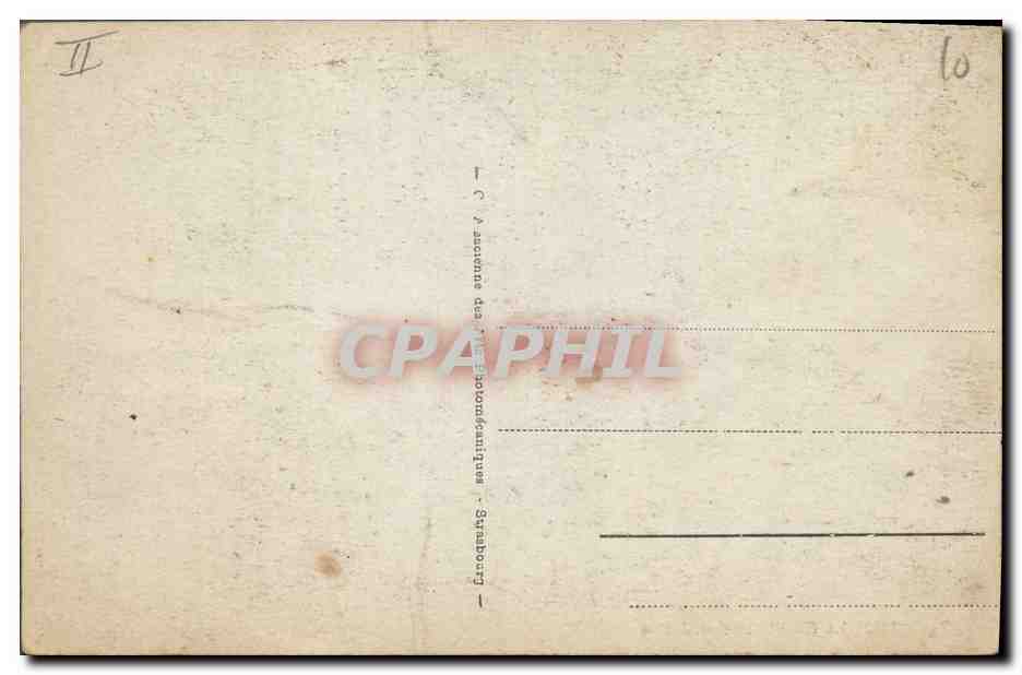 CPA Palmiers Palmier La cueillette des dattes  — Verso