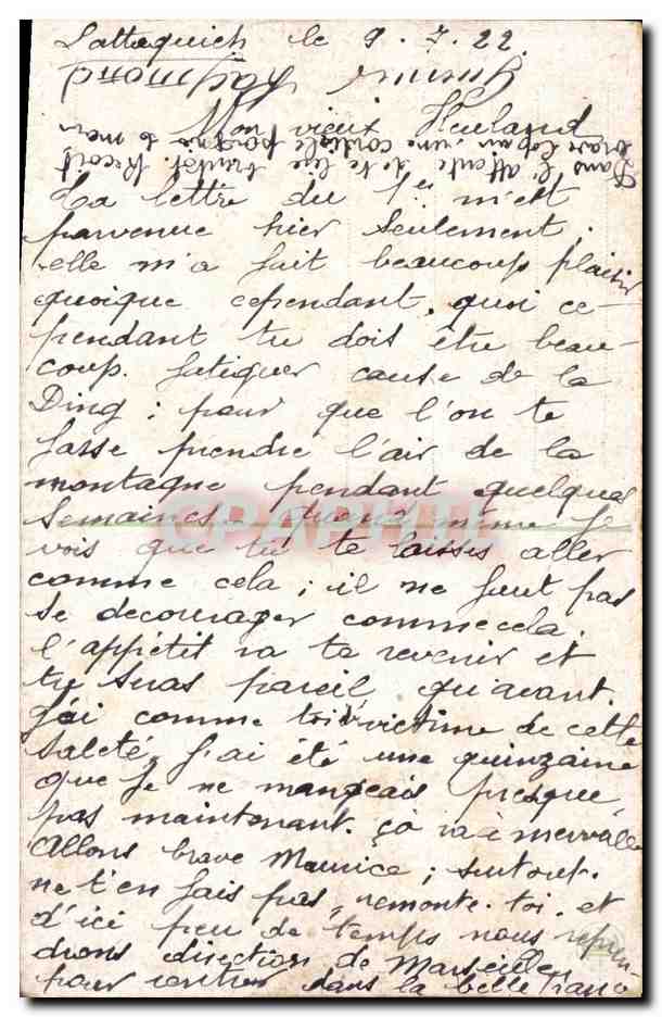 CPA Palmiers Palmier La recolte de dattes  — Verso