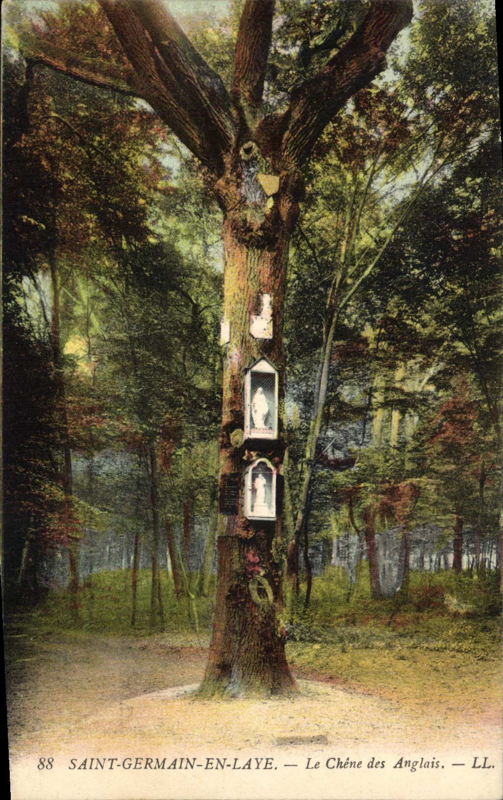 CPA Arbre Saint Germain en Laye Le chene des Anglais